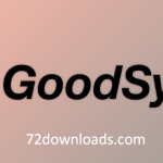 GoodSync 12.9.22.2 Crackeado Com Chave De Licença 2026