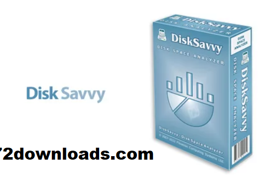 Disk Savvy Pro Crackeado